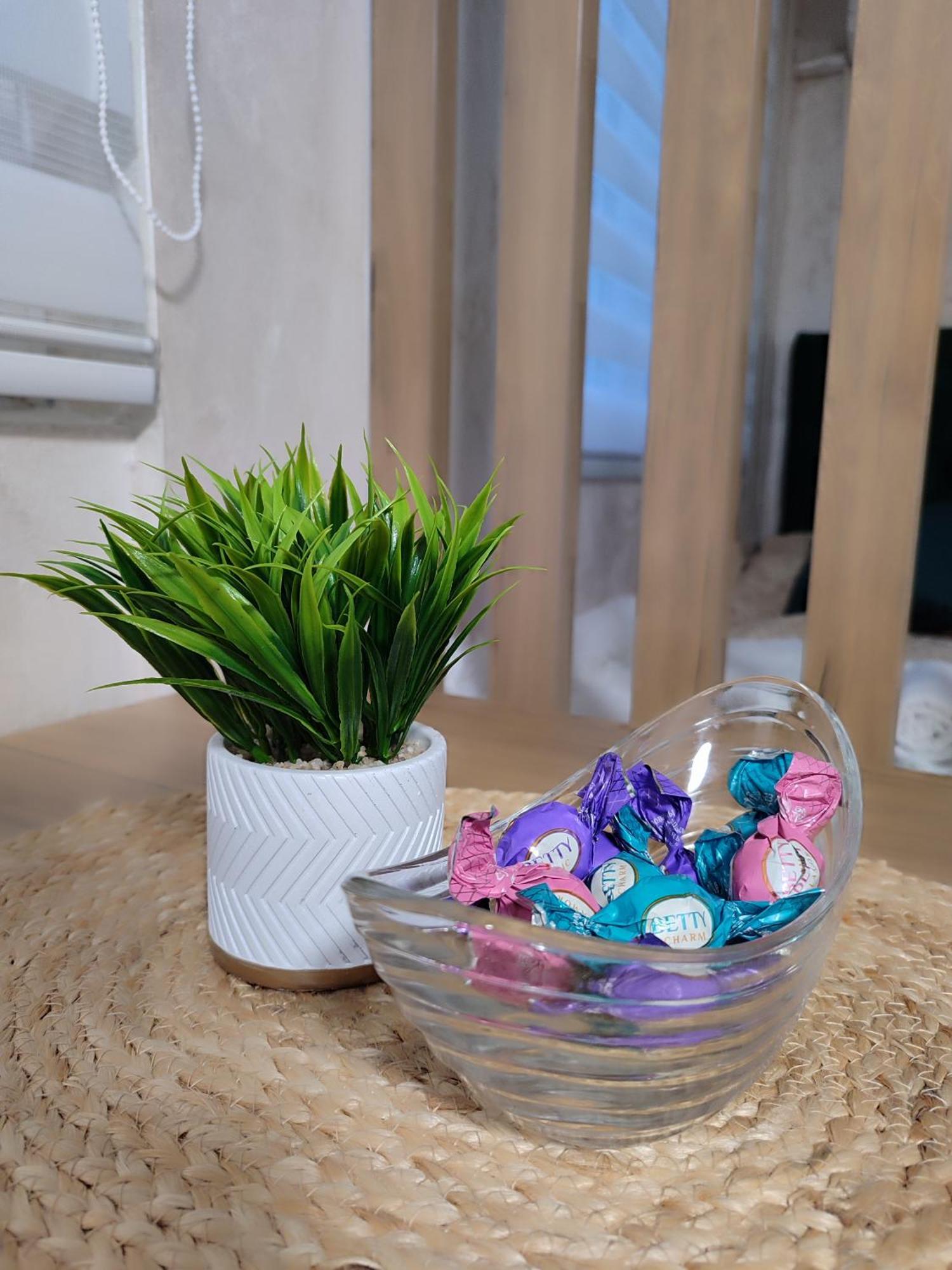 Studio Apartman Free Parking Rubikon Belgrad Zimmer foto